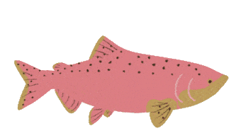 Animated illustration of fish, pink in color, with dark spots, opening its mouth and making bubbles