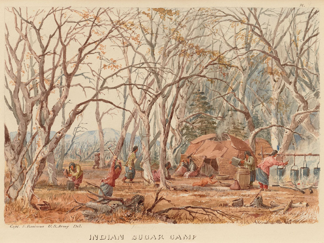 A painting of a Native sugar camp, showing Native people turning maple sap into sugar. They are collecting sap from maple trees, boiling it, and pouring it into containers.