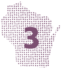 Illustration of the geographical shape of the State of Wisconsin with the number 3 superimposed above it